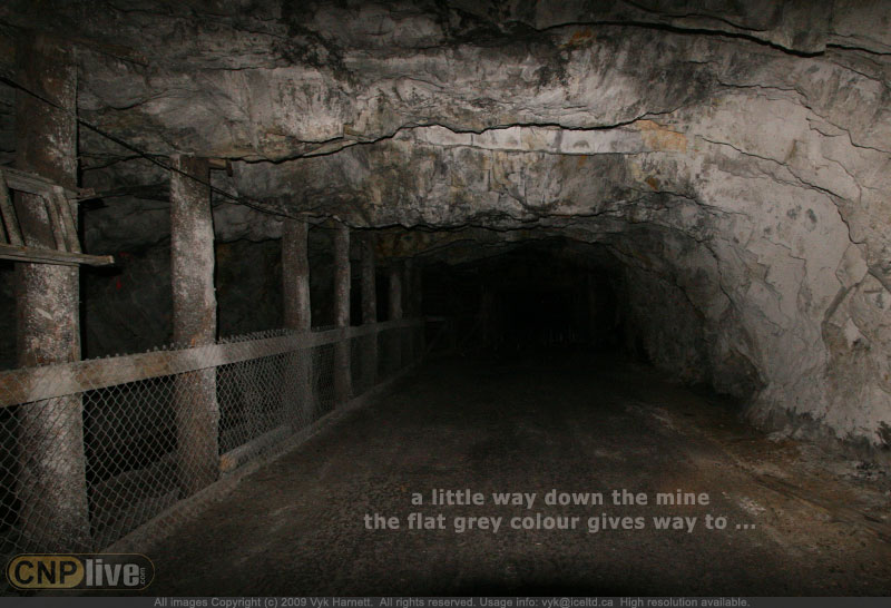 a little way down the Bellevue Underground Mine the flat grey colour gives way to ...