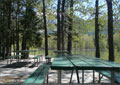 Picnic tables in the Day Use area at Island Lake Provincial Recreation Area