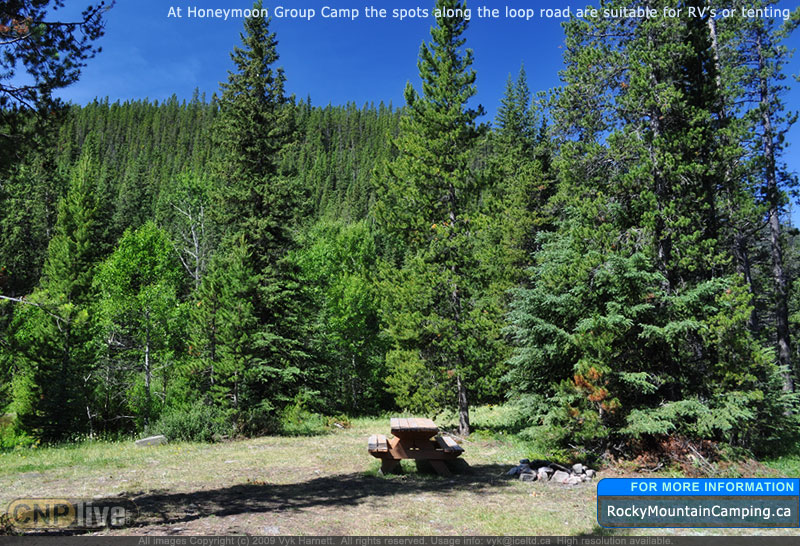 At Honeymoon Group Camp the spots along the loop road are suitable for RV's or tenting
