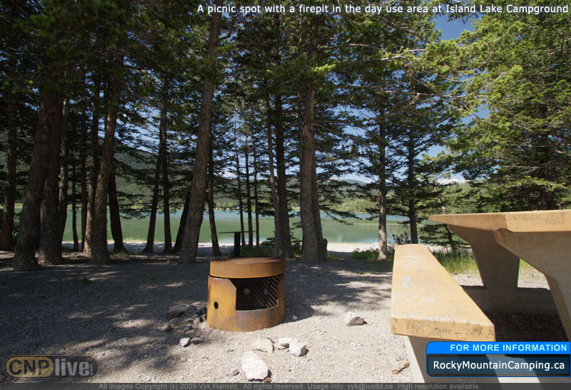 A picnic spot with a firepit in the day-use area at Island Lake Campground