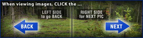 Click images on left or right side to navigate